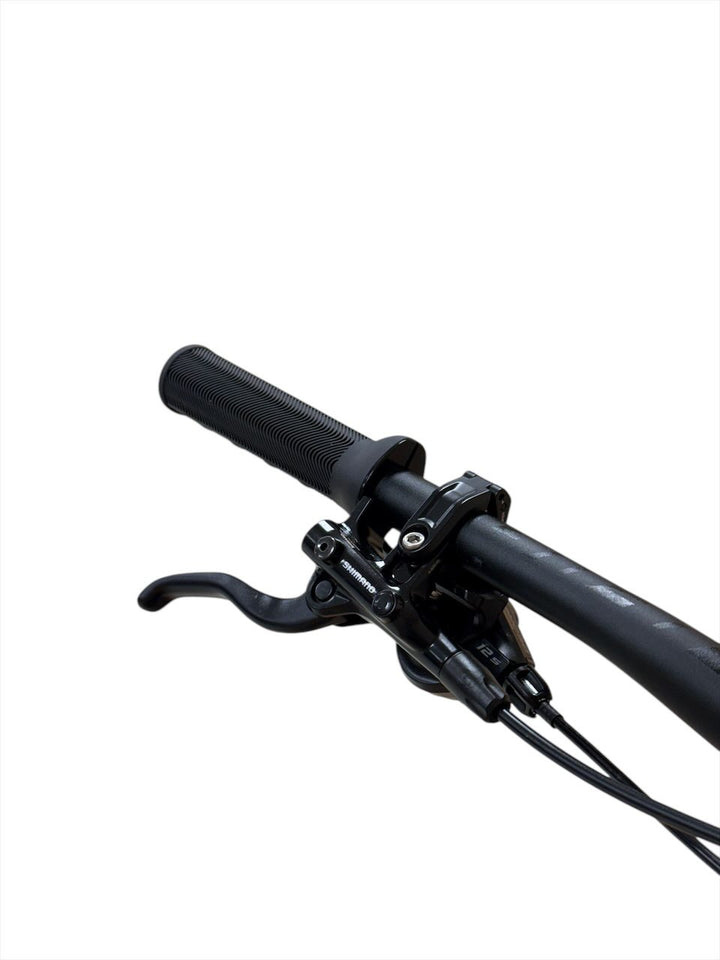 Giant Trance X E+ 3 29 inch E-Mountainbike Refurbished Gebruikte fiets