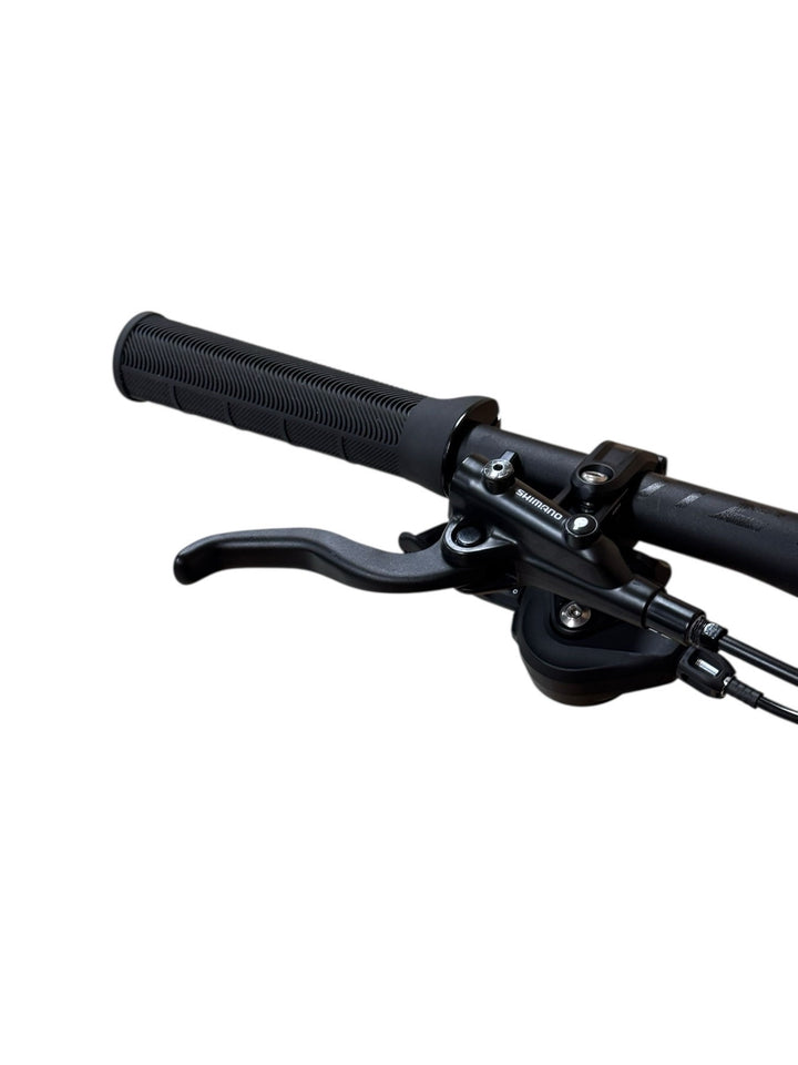 Giant Trance X E+ 3 29 inch E-Mountainbike Refurbished Gebruikte fiets 