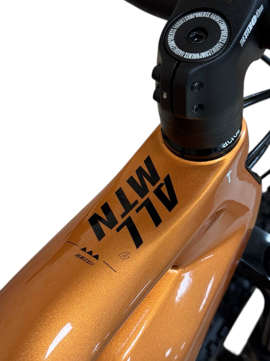 Haibike AllMtn CF 6 E-Mountainbike Refurbished Gebruikte fiets 