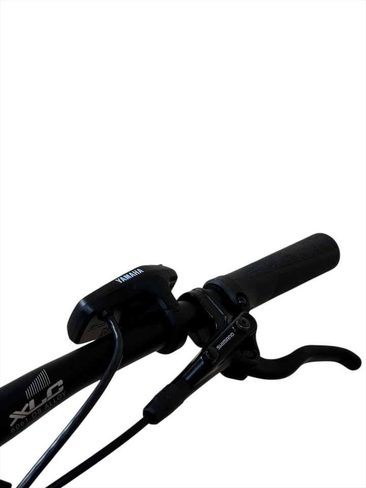 Haibike AllTrack 6 29 inch E-Mountainbike Refurbished Gebruikte fiets