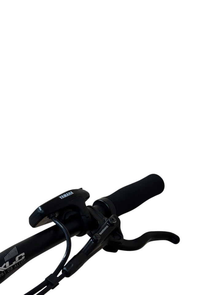 Haibike AllTrack 6 29 inch E-Mountainbike Refurbished Gebruikte fiets 