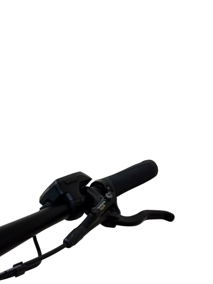 Haibike HardNine 9 29 inch E-Mountainbike Refurbished Gebruikte fiets