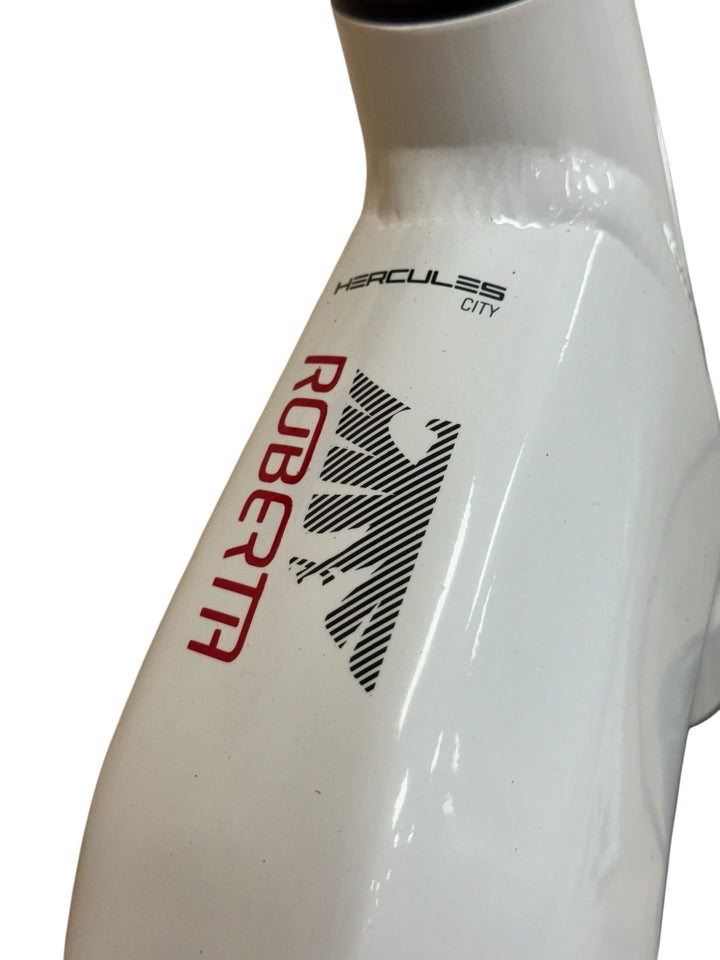 Hercules Robert/A Deluxe I-F8 E-Bike Refurbished Gebruikte fiets