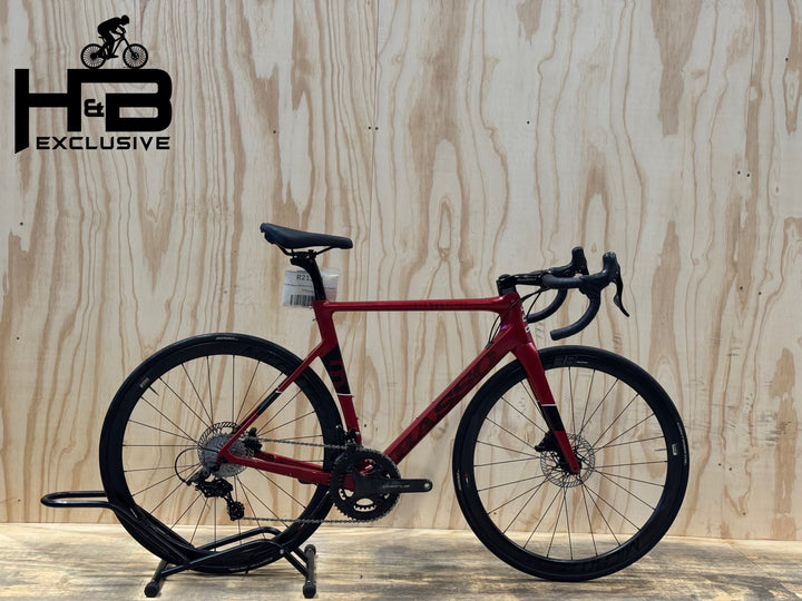 Basso Diamante SV Campagnolo Chorus 12S Disc bicicletta da corsa