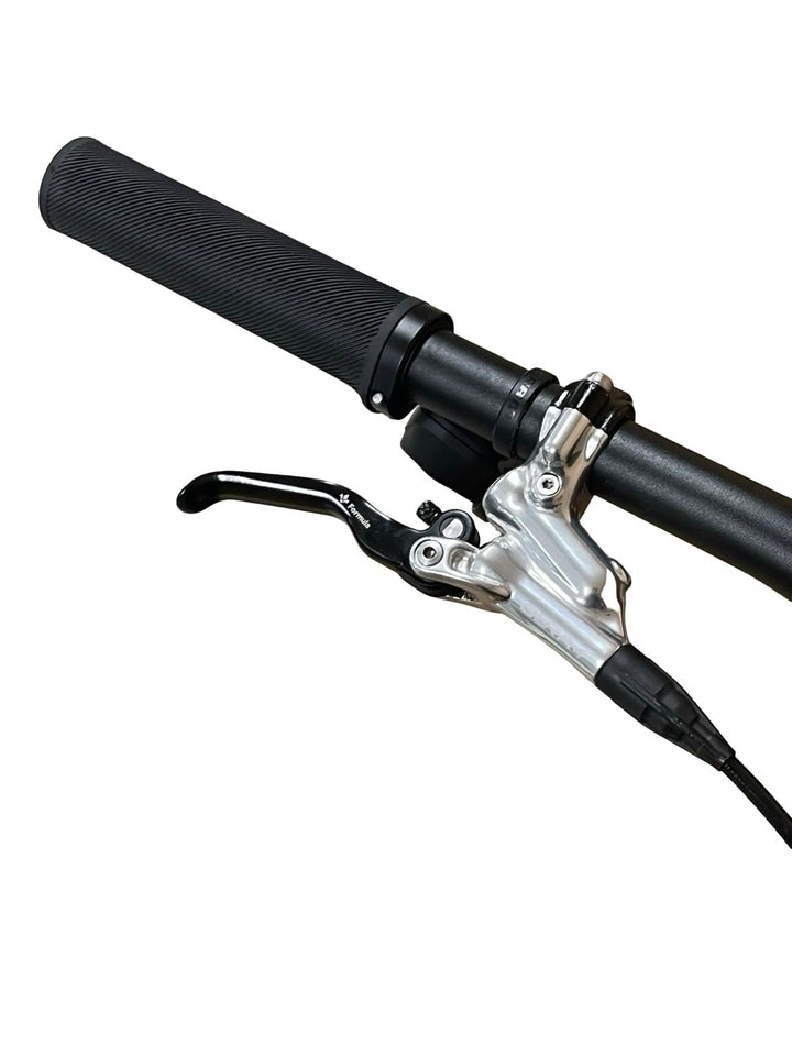 Specialized Levo Expert Carbon bicicletă de munte electrică