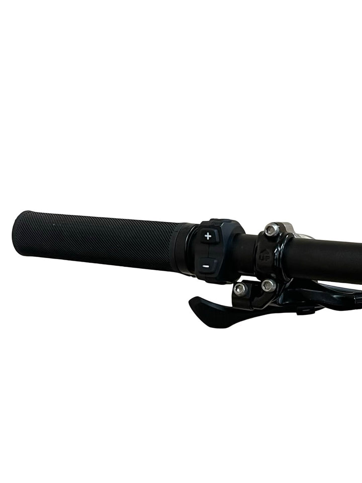 Specialized Levo Expert Carbon bicicletă de munte electrică