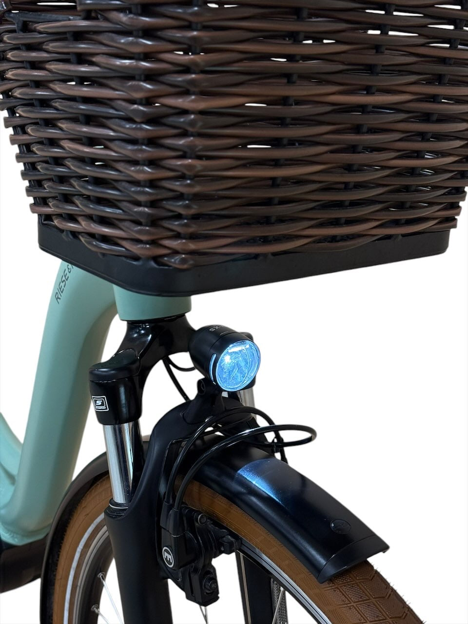 <tc>Riese & Müller Swing Vario 28 pollici bicicletta elettrica</tc>