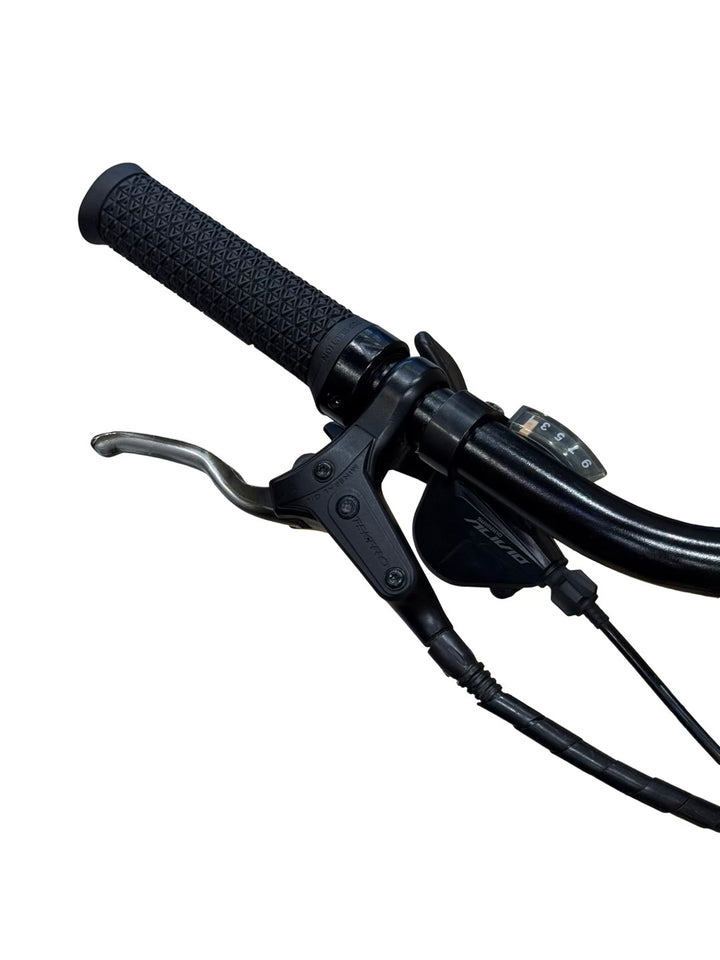 Giant AnyTour E+ 3 LDS E-Bike