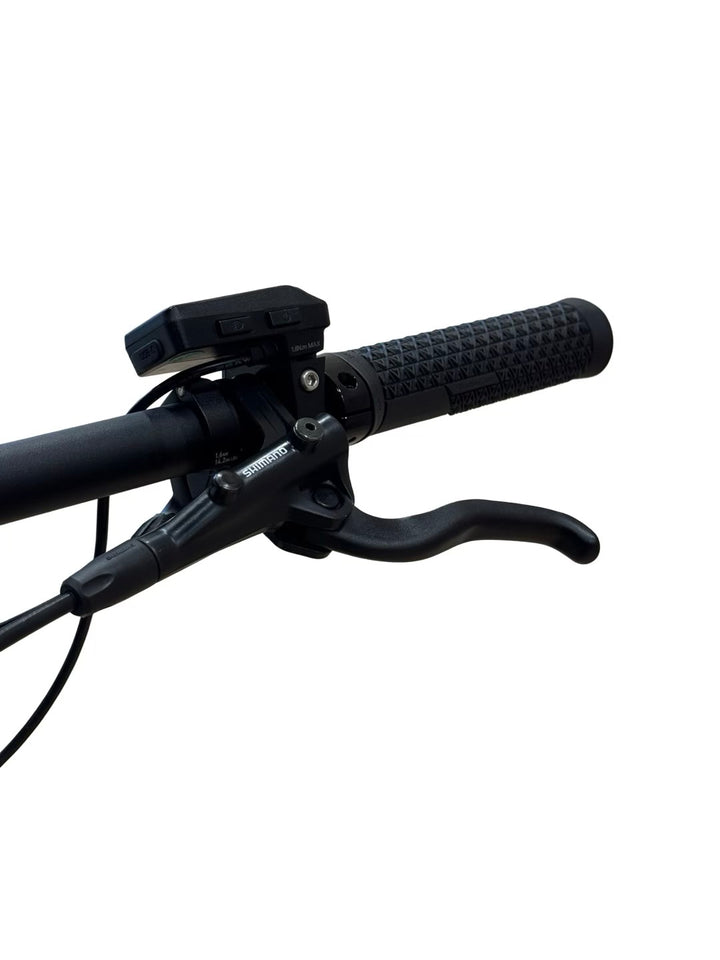 Giant Stance E+ 1 29 inch E-Mountainbike