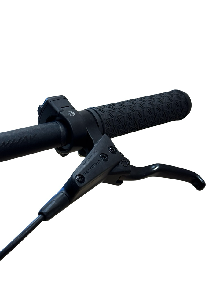 Conway Cairon S 2.0 625 29 polegadas Bicicletas de montanha elétricas