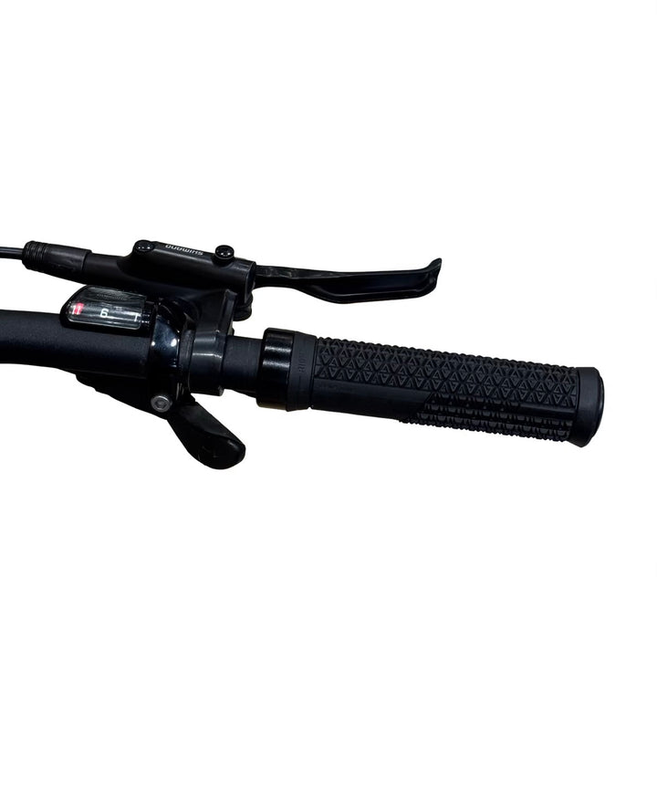 Rose Xtra Watt EVO Plus 2 E-Bike