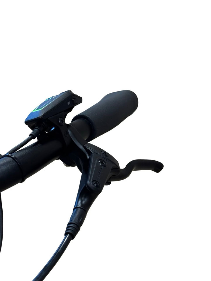 Diamant Beryll Gen3 elcykel