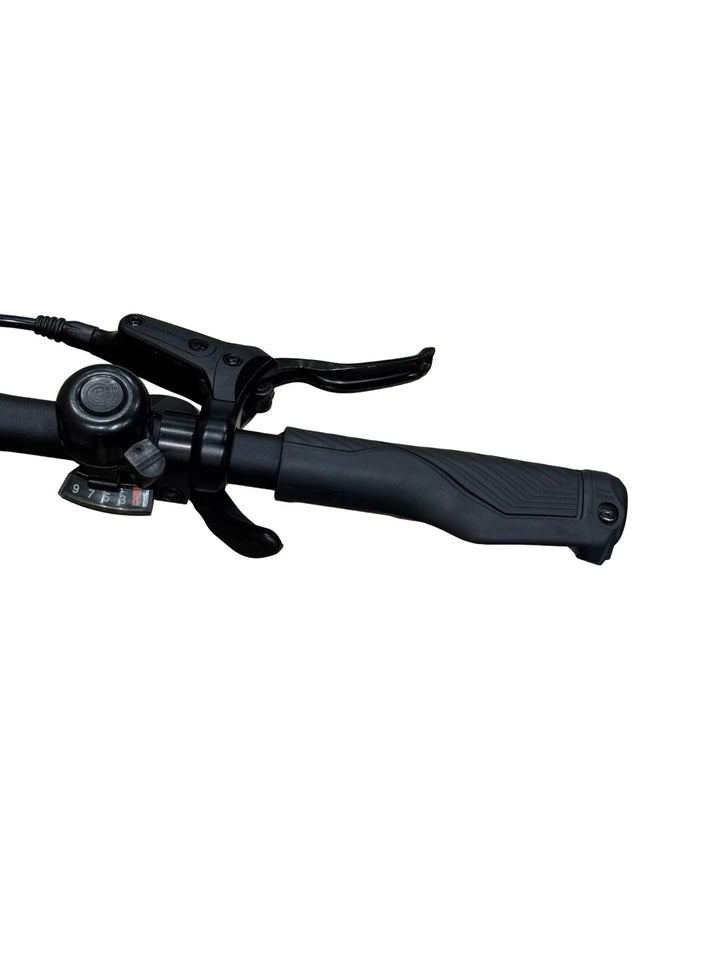 Raymon Crossray E3.0 Vélo électrique