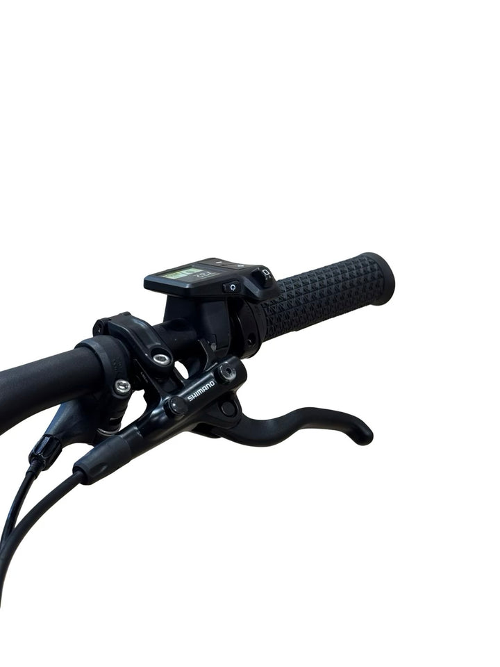 Bulls E-Stream EVA TR2 E-Mountainbike