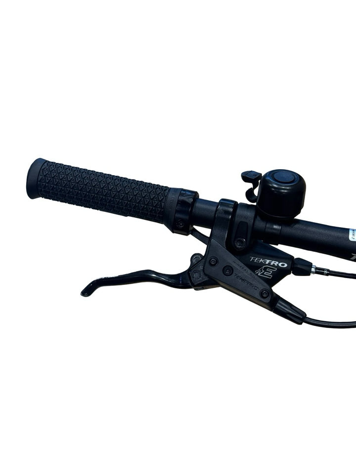 Raymon CrossRay FS E 5.0 VTT électrique