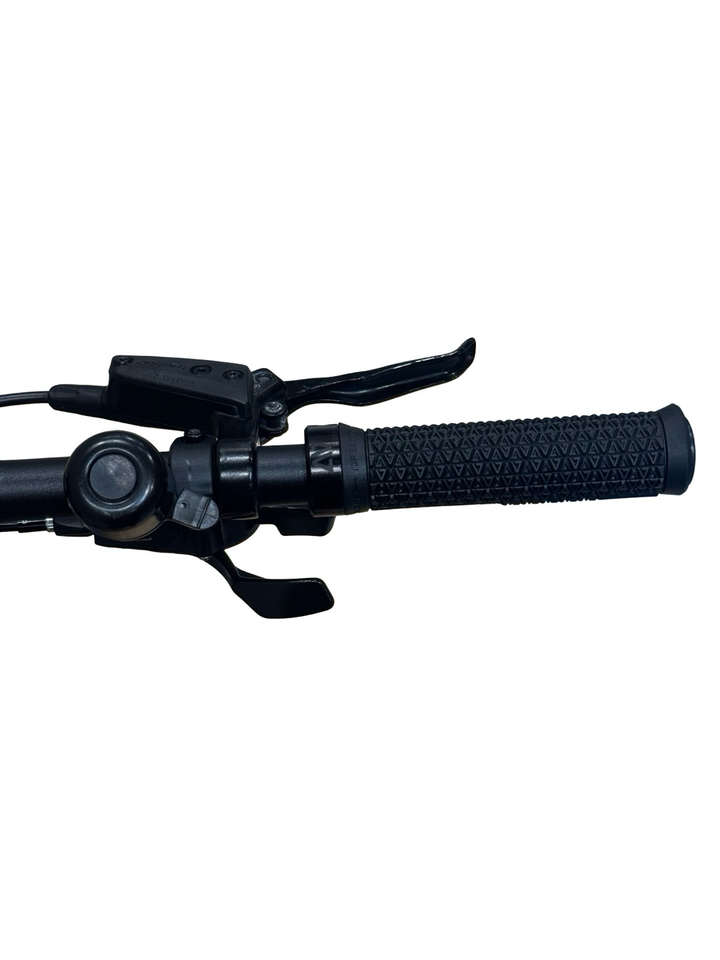 Raymon CrossRay FS E 5.0 VTT électrique
