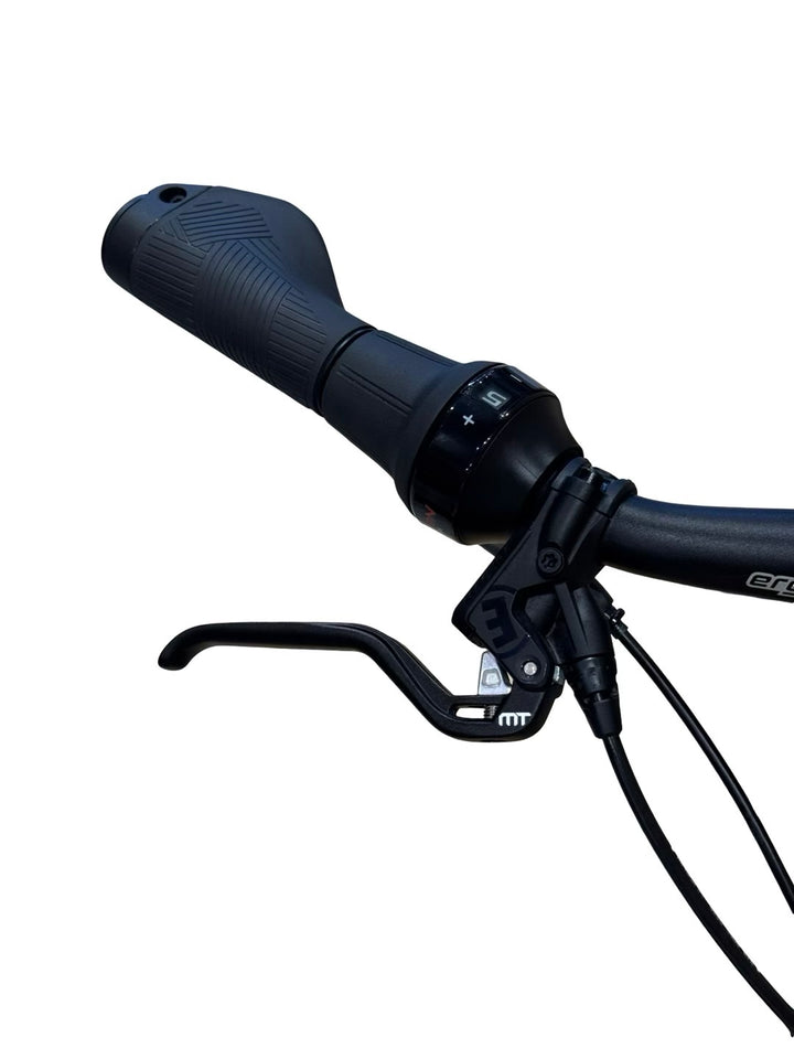 Velo De Ville SEB 890 E-cykel