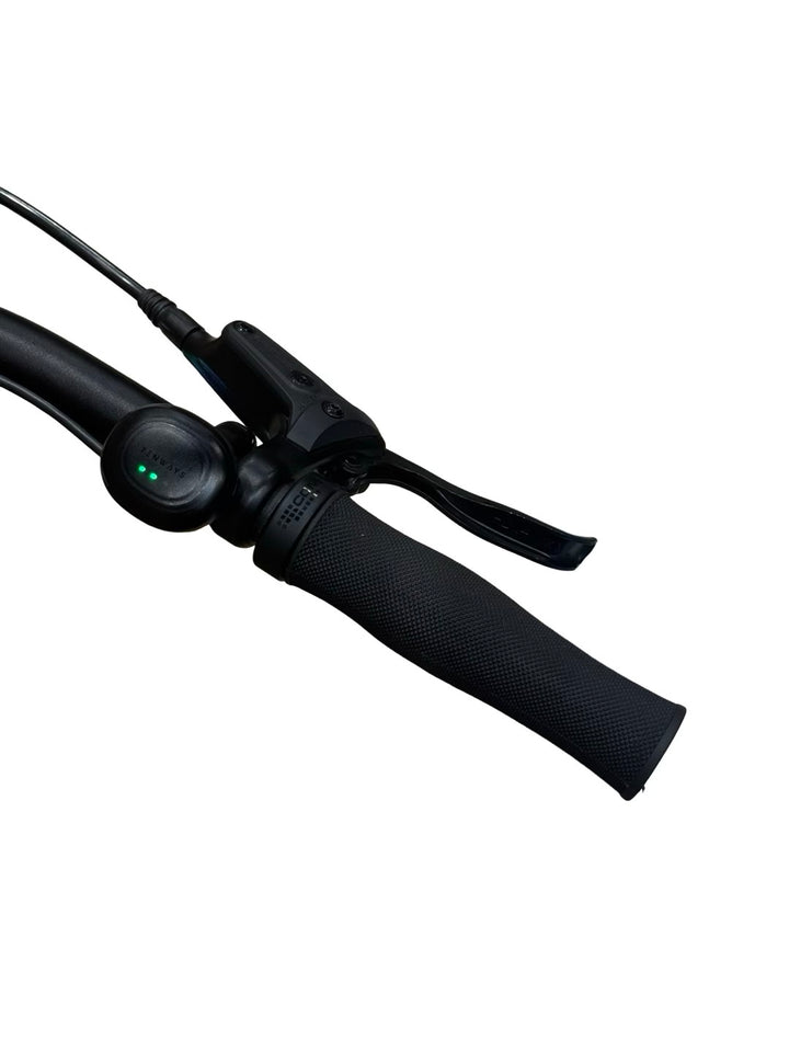 Tenways CGO009 E-Bike