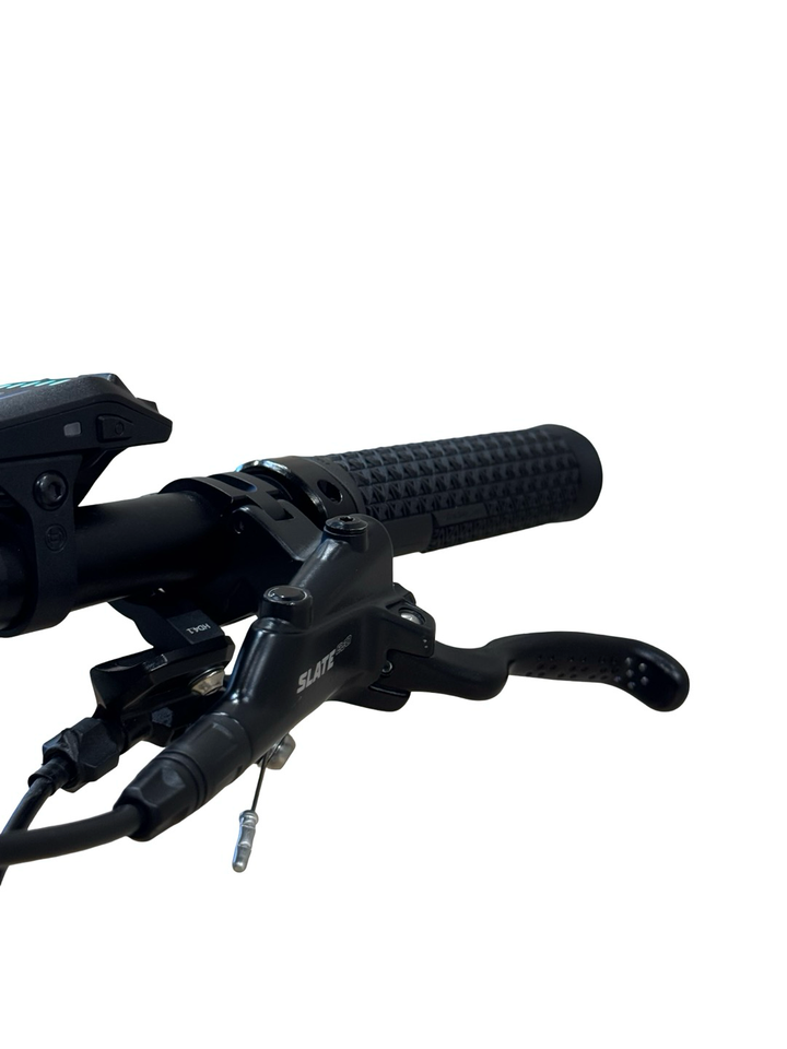Bulls Sonic Evo 1 29 pouces VTT électrique