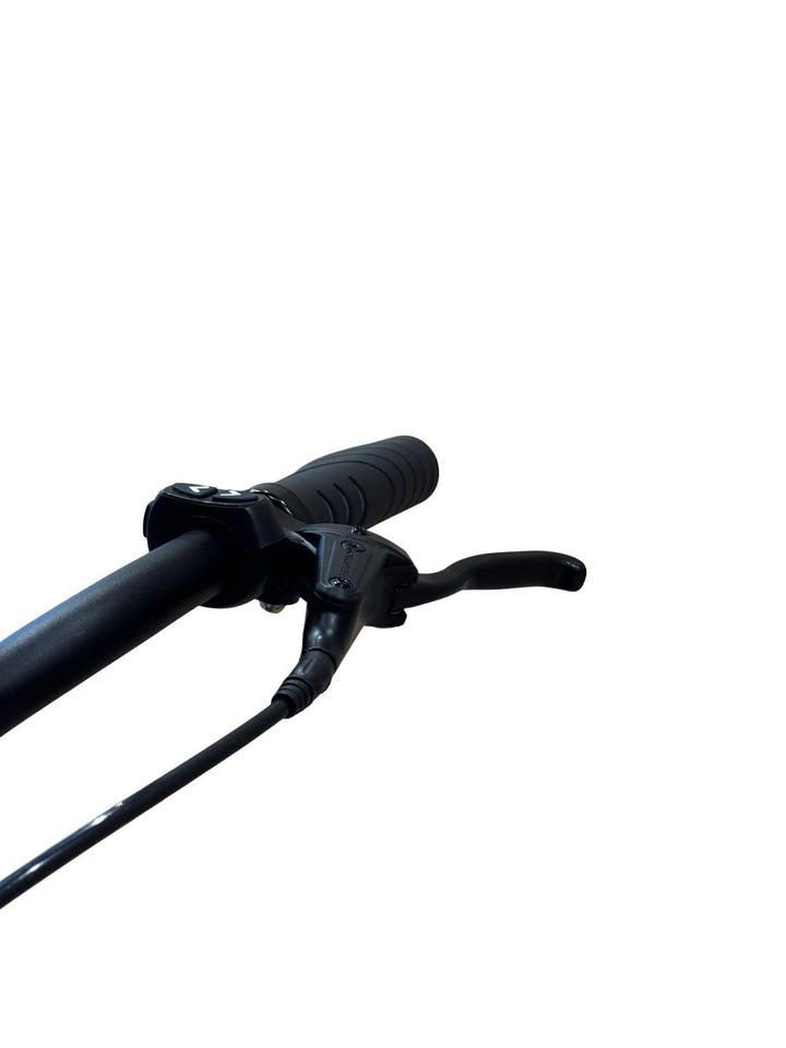 Tenways CGO800s E-Bike