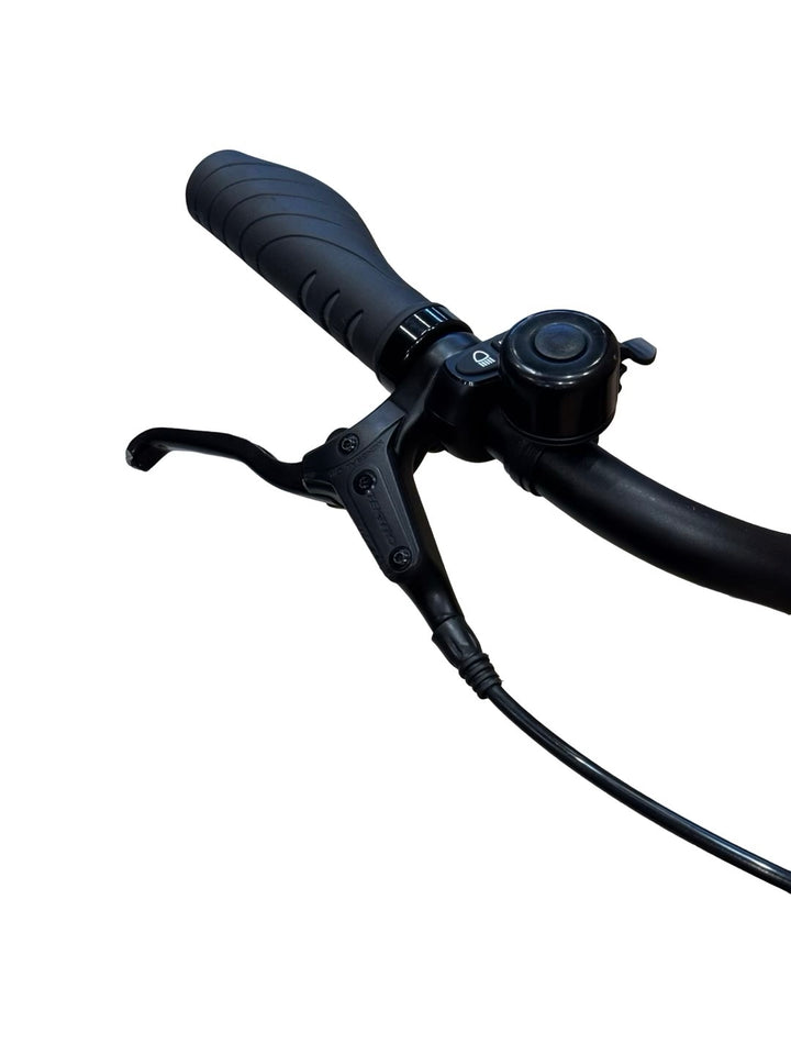 Tenways CGO800s E-Bike