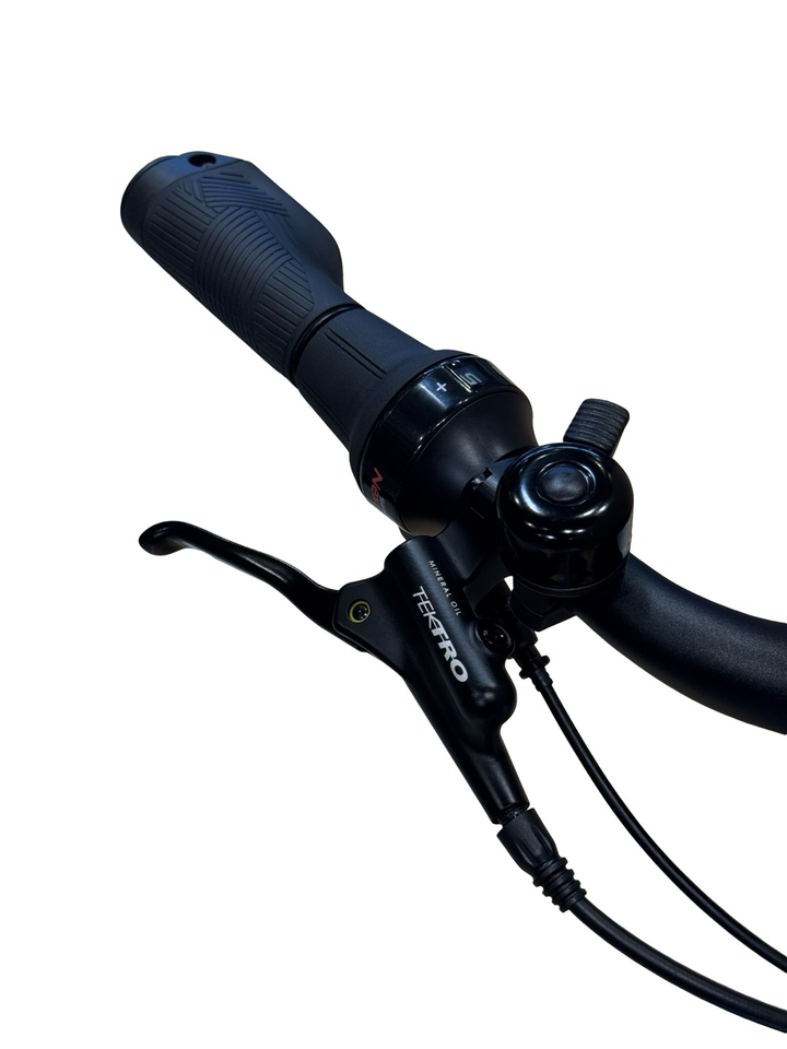 Advanced Trekking Reco E-jalgrattad