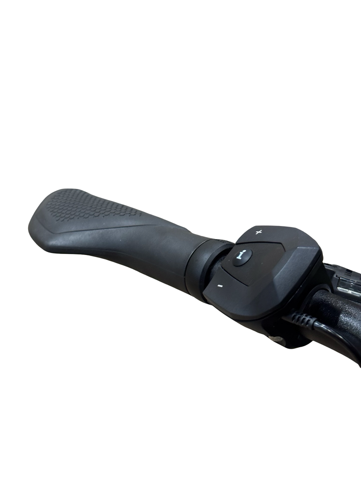 Cube Cargo Sport Hybrid 500 E-jalgrattad