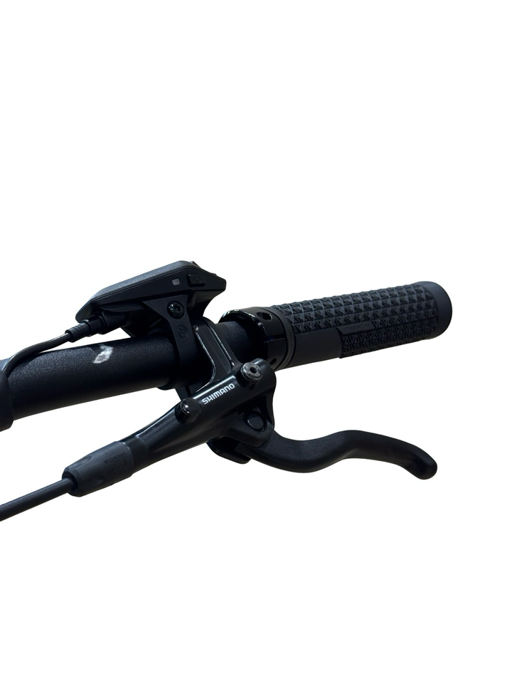 Cube Reaction Hybrid Race 750 Allroad 29 polegadas Bicicletas de montanha elétricas