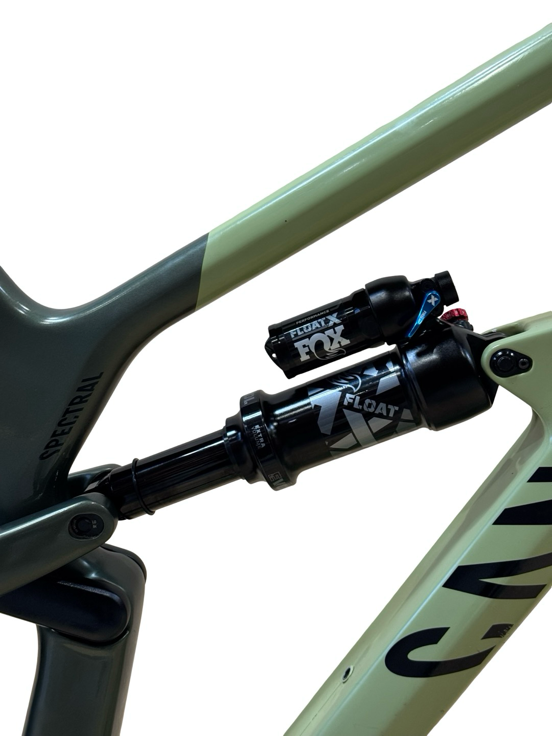 Canyon Spectral 29 CF 7 29 polegadas Bicicleta de montanha