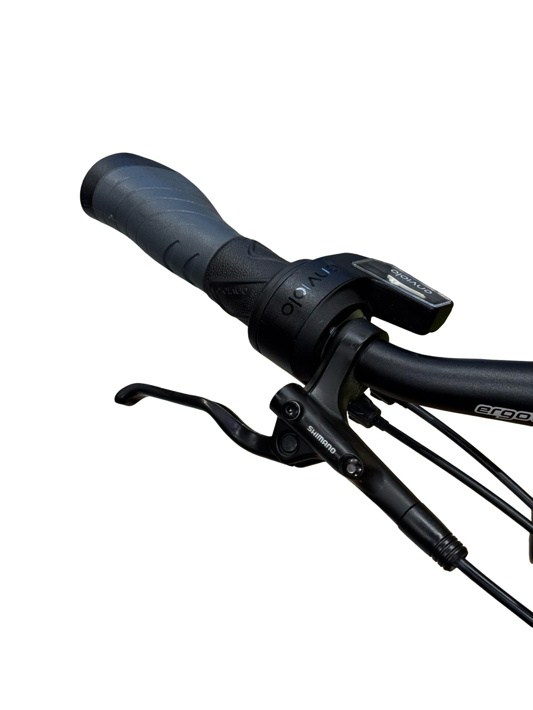 Velo de Ville AEB 890 Smart Enviolo TR E-Bike