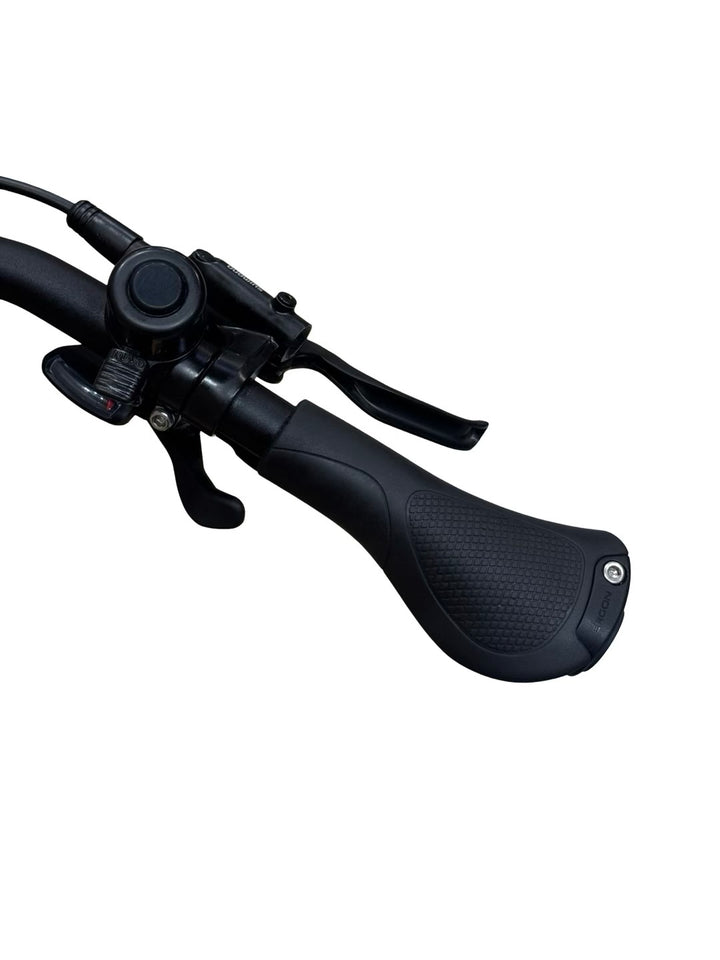 Pegasus Premio EVO 10 Lite 750 E-jalgrattad