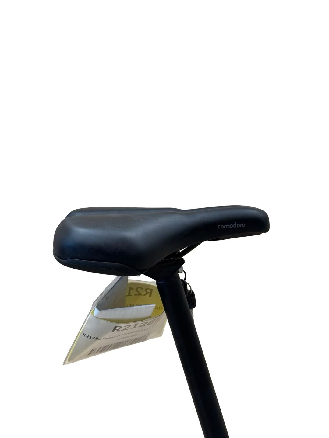 Pegasus Premio EVO 10 Lite 750 E-jalgrattad