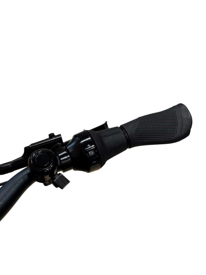 Bergamont E-Horizon N5e FH 500 E-cykel