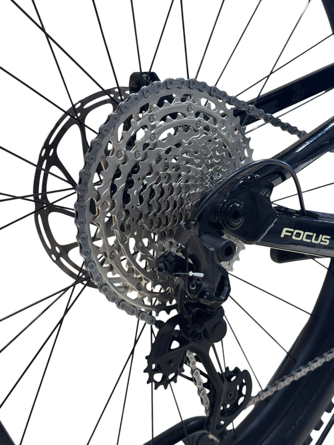 Focus Thron² 6.8 29 polegadas Bicicletas de montanha elétricas