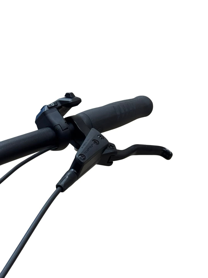 Bulls Streetliner EVO E-Bike