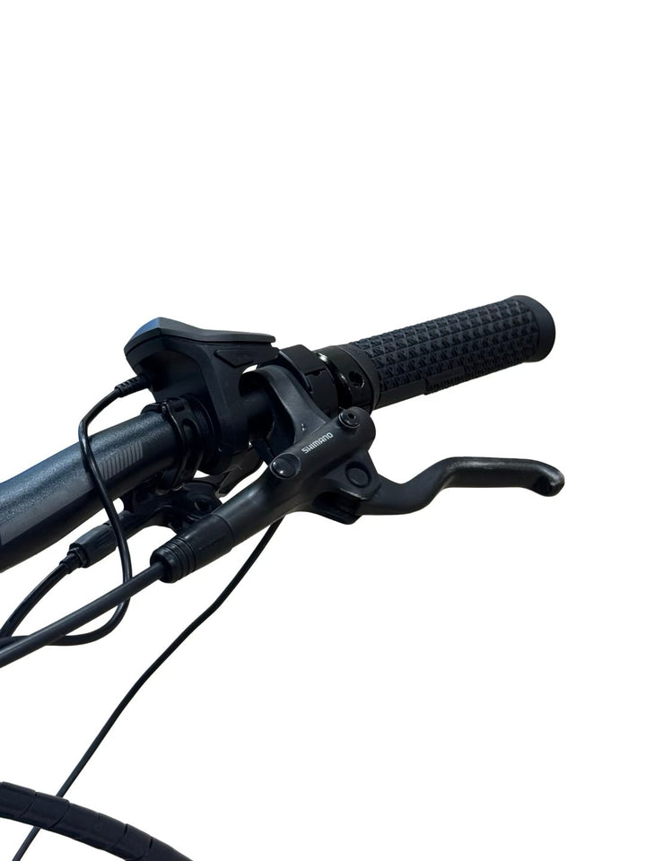 Stevens E-Courier Luxe Forme Vélo électrique