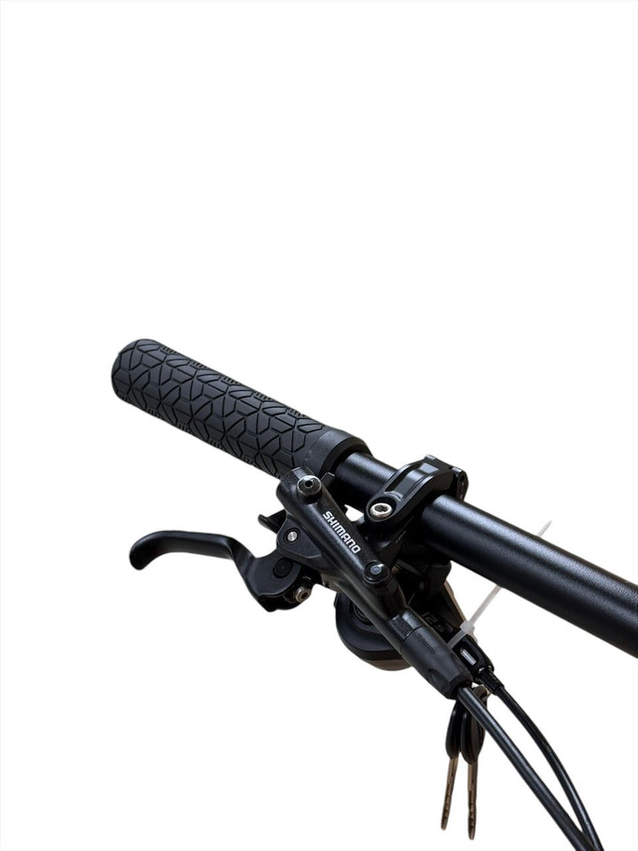 Bulls Sonic EN SL 1 29 inch E-Mountainbike