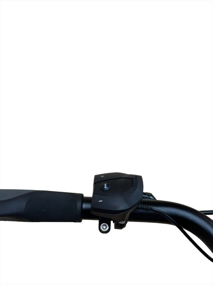 <tc>Flyer Gotour 6 7.12 28 tolline E-Bike</tc>