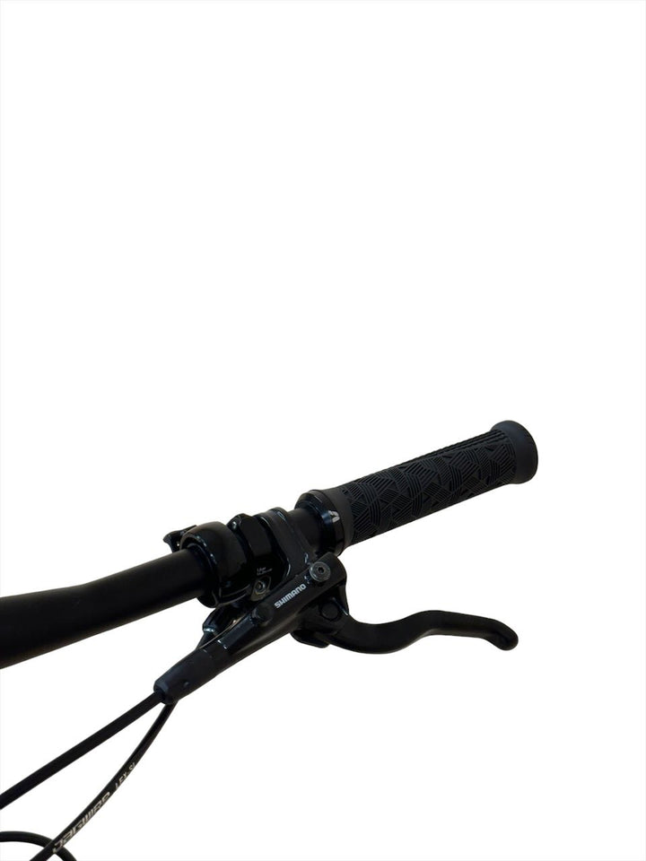 <tc>Giant</tc> Liv Pique 2 29 Zoll Mountainbike