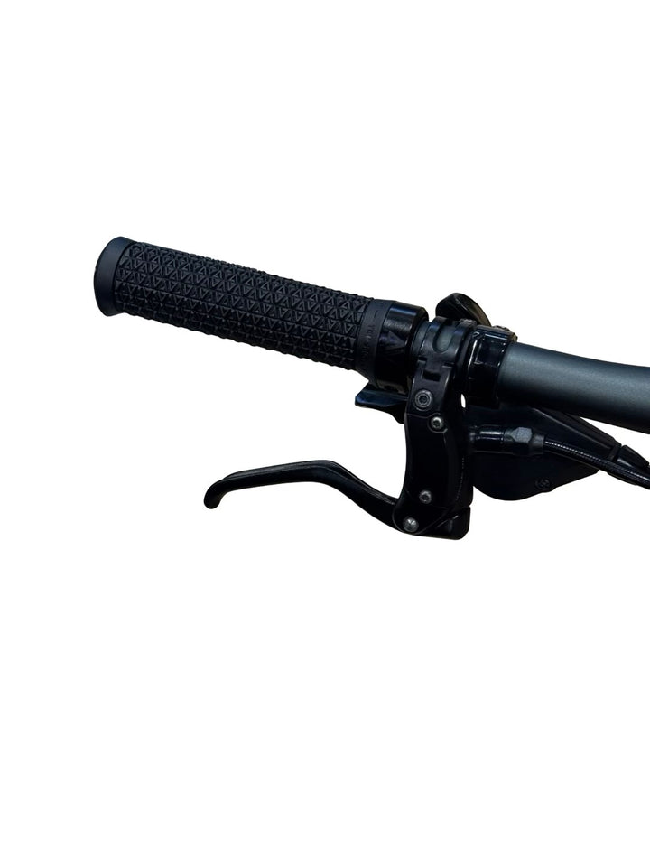 Riese & Müller UBN Five silent E-Bike