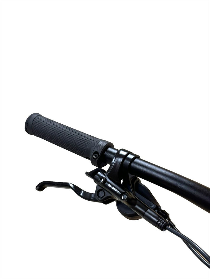 <tc>Cube Reaction Hybrid Pro 750 29 polegadas Bicicleta E-Mountain</tc>