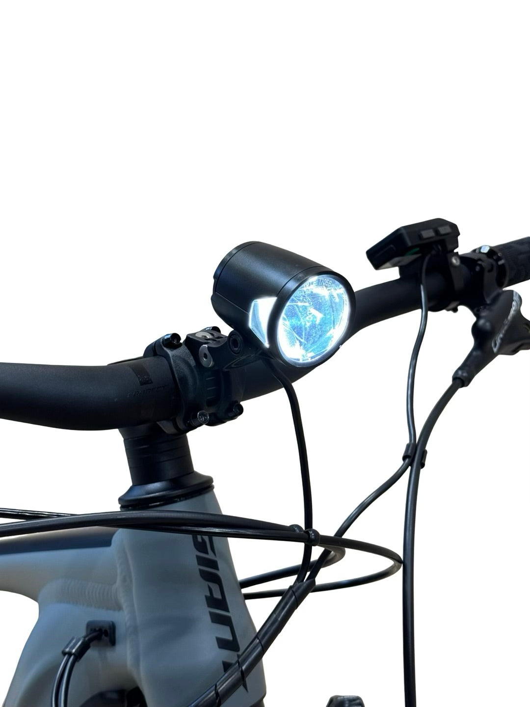 Giant Stance E+ EX 29 Zoll E-Mountainbike