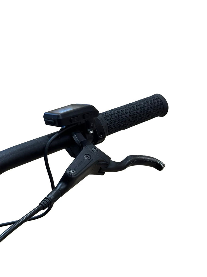 Giant Talon E+ EX 29 inch E-Mountainbike