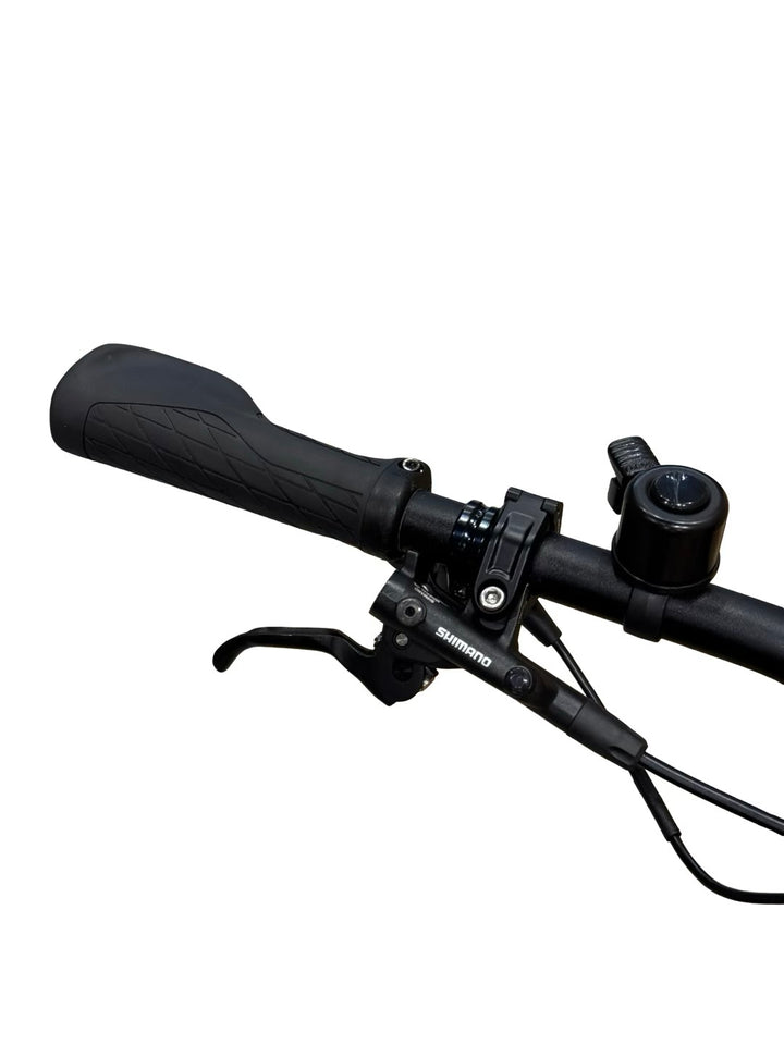 Bulls Vuca EVO FSX 1 E-Bike