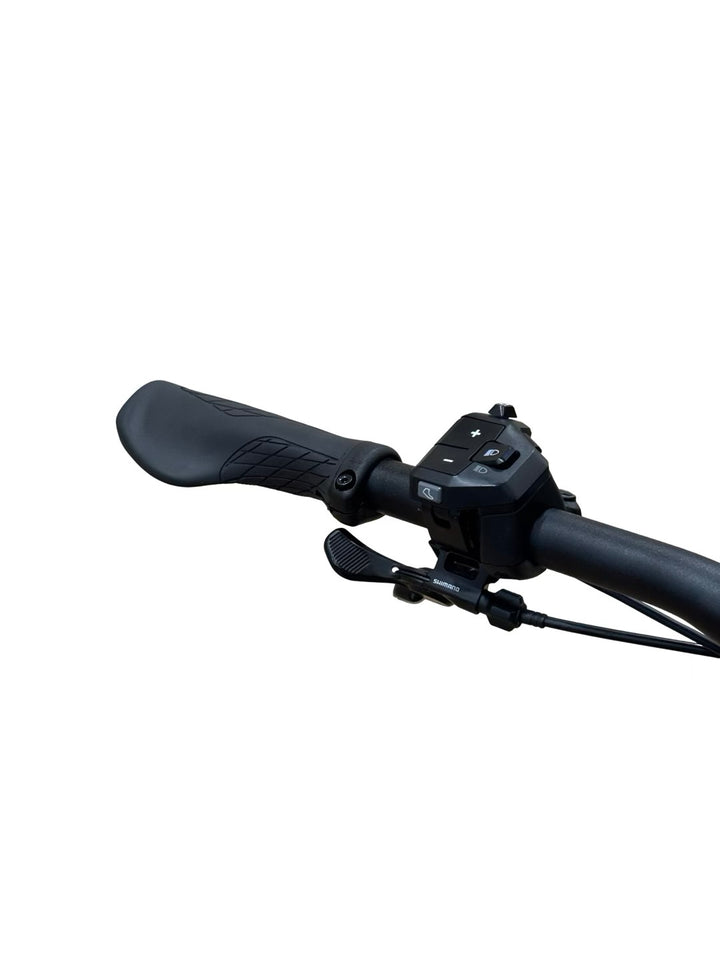 Bulls Vuca EVO FSX 1 E-Bike