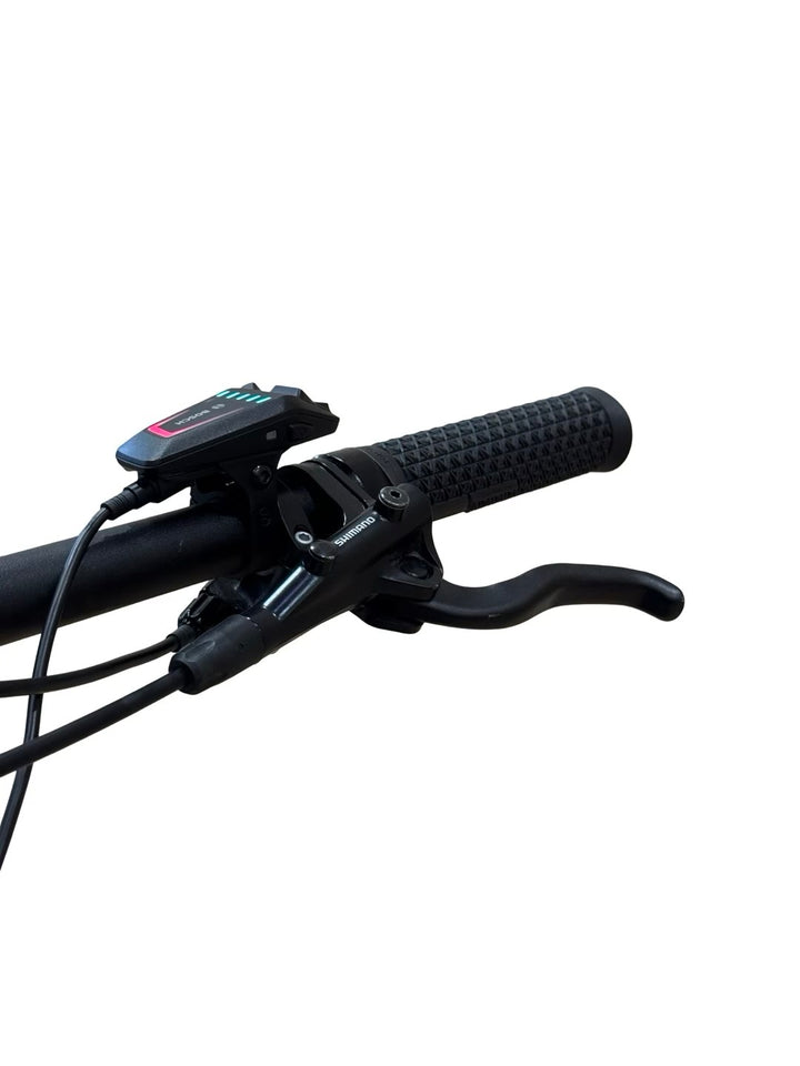 Cannondale Tesoro Neo X 2 E-Bike