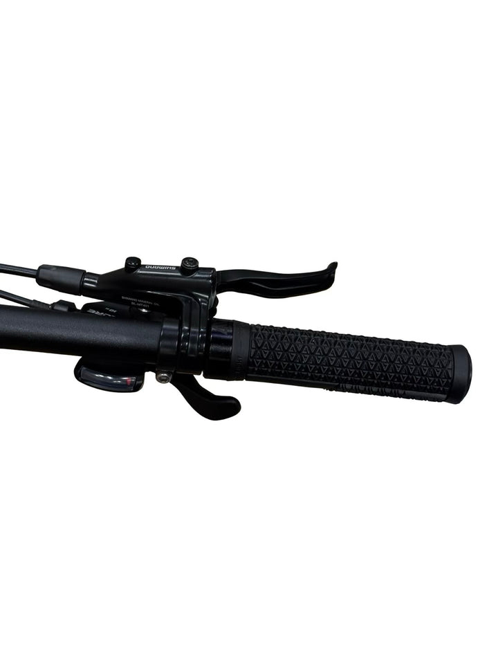 Cannondale Tesoro Neo X 2 E-Bike