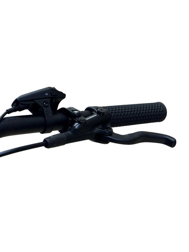 Bulls Copperhead Evo 2 XXL 29 tommer E-mountainbike