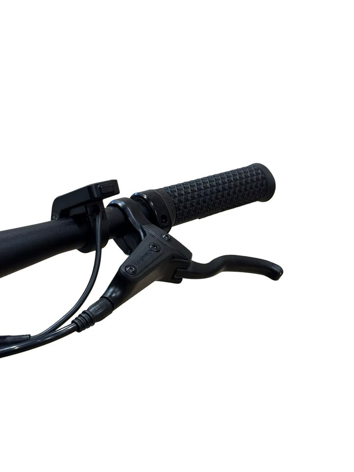 Tenways CGO600 Pro E-Bike