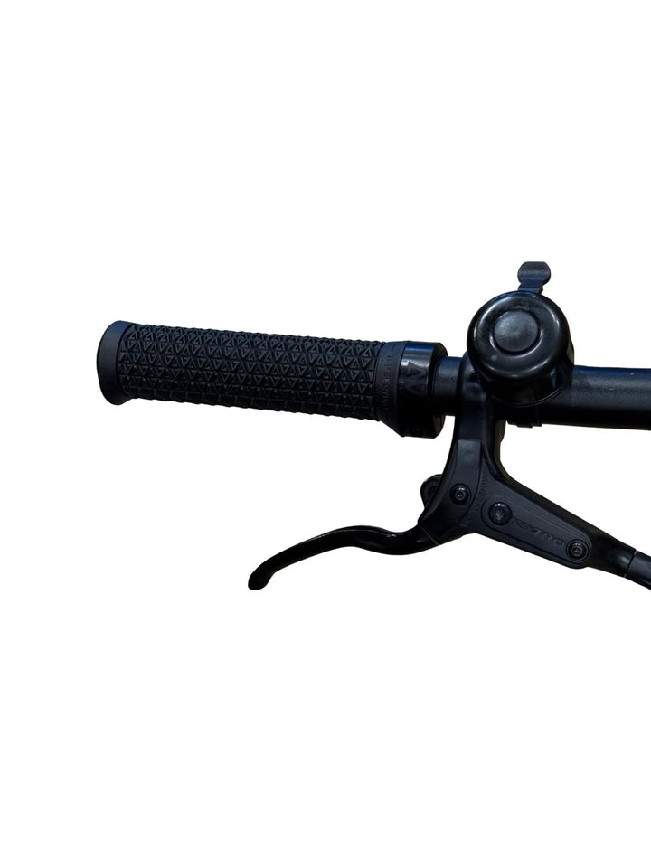 Tenways CGO600 Pro E-Bike